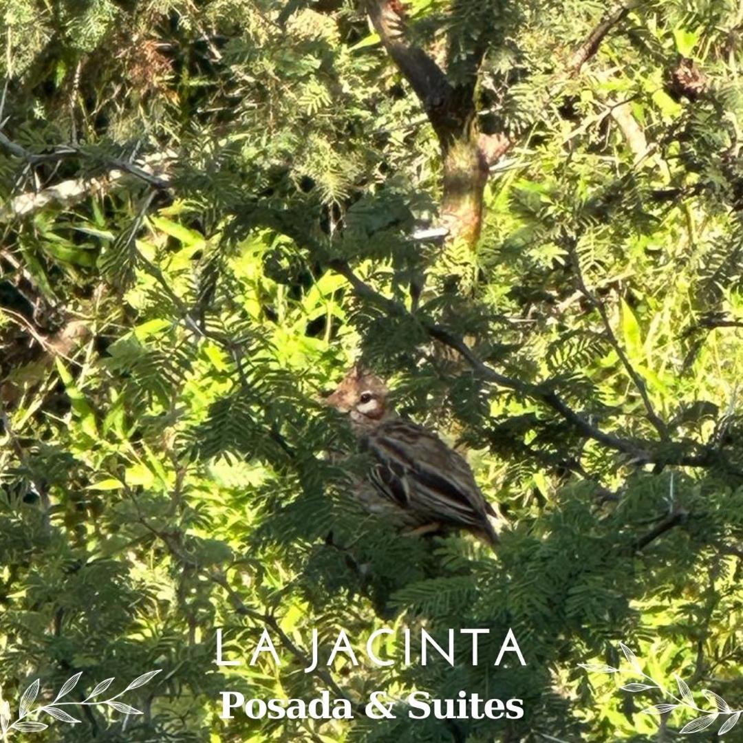 La Jacinta Posada Suites Santa Rosa de Calamuchita Dış mekan fotoğraf