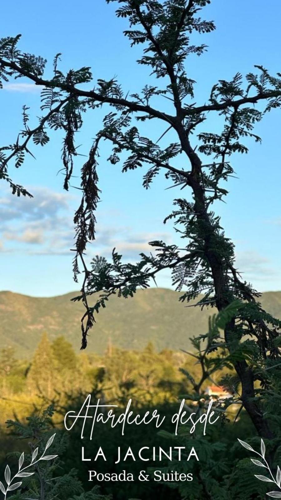 La Jacinta Posada Suites Santa Rosa de Calamuchita Dış mekan fotoğraf